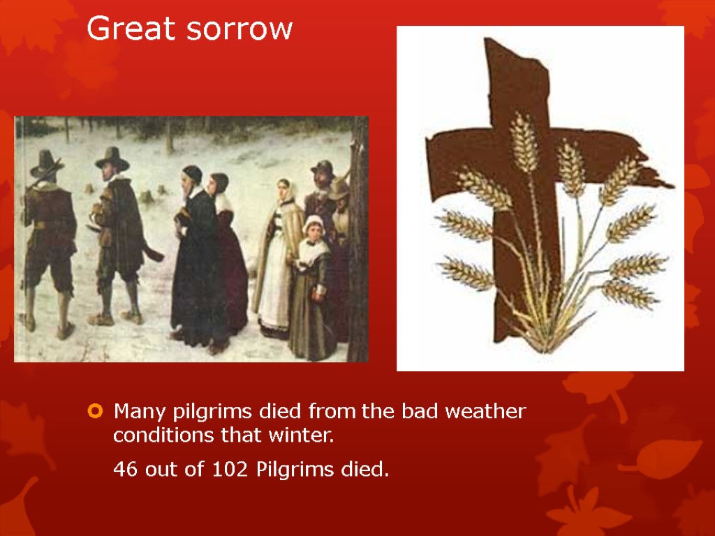 Great sorrow Many pilgrims died from the bad weather conditions that winter. 46 out